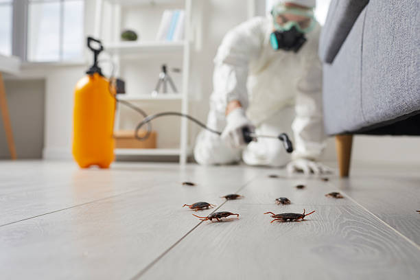 Commercial Kitchen Cockroach Control in Wright